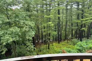 2411 River Rd, Wisconsin Dells, WI 53965 - Photo 36