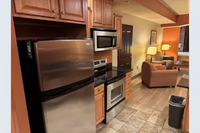 2411 River Road #2345, Wisconsin Dells, WI 53965 - Photo 4