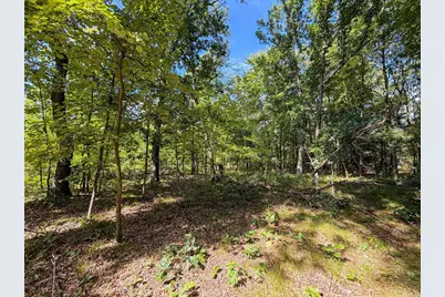 W1958 Dombek Road, Lyndon Station, WI 53944 - Photo 56