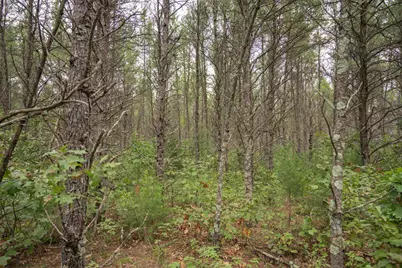 W4920 26th Street, Necedah, WI 54646 - Photo 28