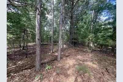 1802 W 13th Avenue, Friendship, WI 53934 - Photo 6