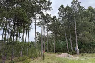 N13618 19th Ave, Necedah, WI 54646 - Photo 1