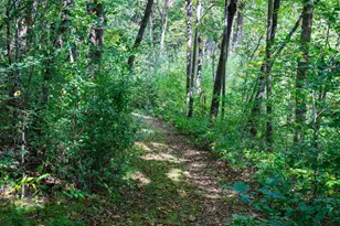 6432 Nature Cove Trail, Waunakee, WI 53597 - Photo 86