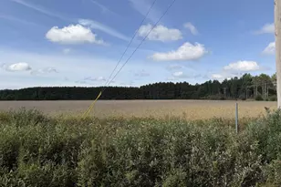 N3213 26th Ave, Lyndon Station, WI 53944 - Photo 48
