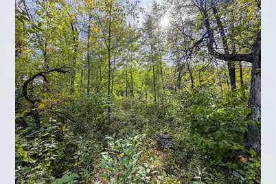 W5894 Wilson Lane, Necedah, WI 54646 - Photo 60