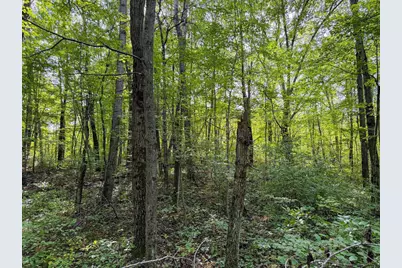 W5894 Wilson Lane, Necedah, WI 54646 - Photo 66