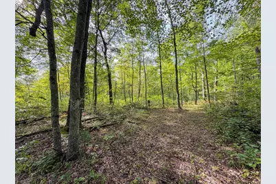 W5894 Wilson Lane, Necedah, WI 54646 - Photo 10