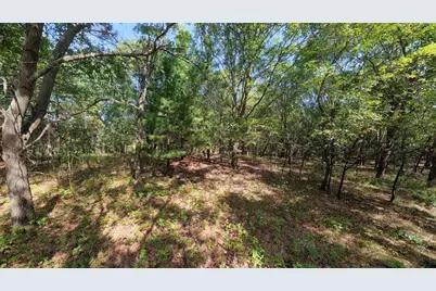 45.86Ac County Rd M, Westfield, WI 53964 - Photo 4