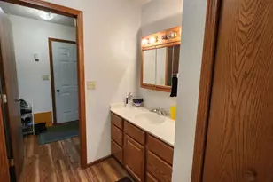 206 Hancock Dr, Orangeville, IL 61060 - Photo 22