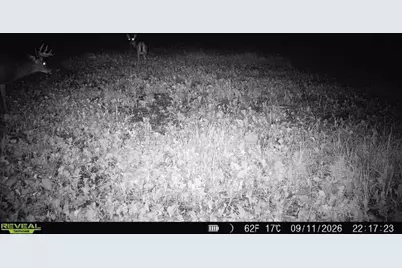 68+/- Acres Badger Avenue, Germantown, WI 54436 - Photo 88
