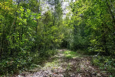68+/- Acres Badger Avenue, Germantown, WI 54436 - Photo 82