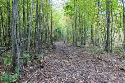 68+/- Acres Badger Avenue, Germantown, WI 54436 - Photo 76