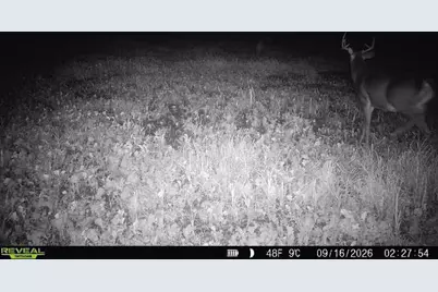 68+/- Acres Badger Avenue, Germantown, WI 54436 - Photo 48