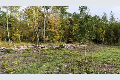 68+/- Acres Badger Avenue, Germantown, WI 54436 - Photo 52