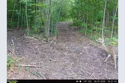 68+/- Acres Badger Avenue, Germantown, WI 54436 - Photo 66