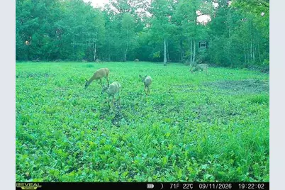 68+/- Acres Badger Avenue, Germantown, WI 54436 - Photo 28