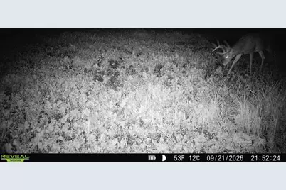 68+/- Acres Badger Avenue, Germantown, WI 54436 - Photo 42