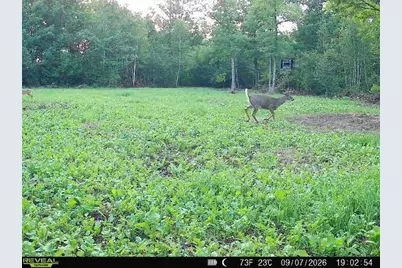 68+/- Acres Badger Avenue, Germantown, WI 54436 - Photo 32
