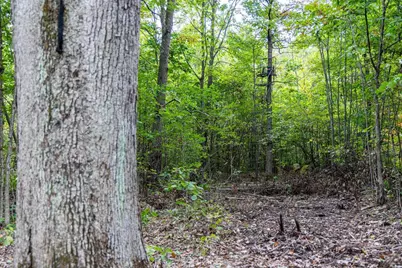 68+/- Acres Badger Avenue, Germantown, WI 54436 - Photo 64