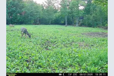 68+/- Acres Badger Avenue, Germantown, WI 54436 - Photo 30