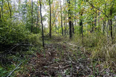 68+/- Acres Badger Avenue, Germantown, WI 54436 - Photo 62