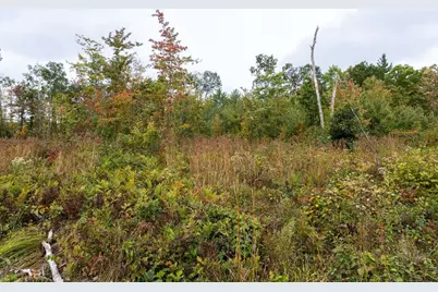 68+/- Acres Badger Avenue, Germantown, WI 54436 - Photo 58