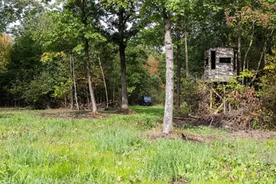 68+/- Acres Badger Avenue, Germantown, WI 54436 - Photo 4
