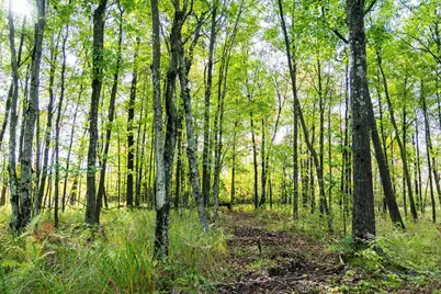 68+/- Acres Badger Avenue, Germantown, WI 54436 - Photo 18