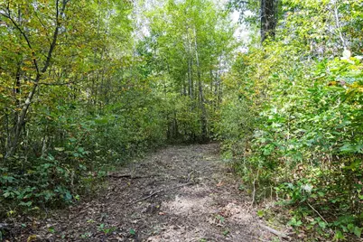 68+/- Acres Badger Avenue, Germantown, WI 54436 - Photo 74