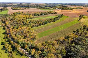 850 Cook-McFall Rd, Rewey, WI 53580 - Photo 6