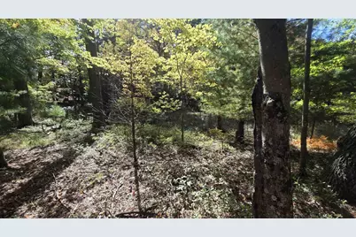 Cty Rd Z Road, Westfield, WI 53964 - Photo 2