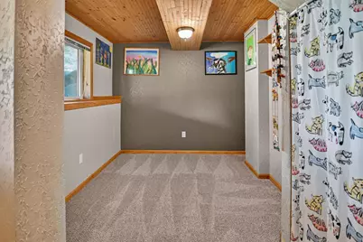 311 Springview Drive, Marshall, WI 53559 - Photo 38