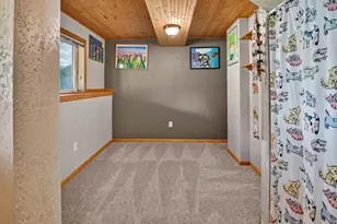 311 Springview Dr, Marshall, WI 53559 - Photo 38