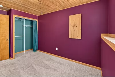 311 Springview Drive, Marshall, WI 53559 - Photo 36