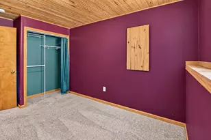 311 Springview Dr, Marshall, WI 53559 - Photo 36