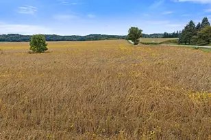 S7914 Stones Pocket Rd, North Freedom, WI 53951 - Photo 8