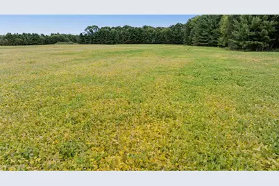 121 Acres County Hwy Et, Tomah, WI 54660 - Photo 50