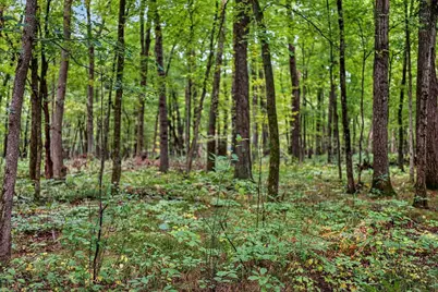 121 Acres County Hwy Et, Tomah, WI 54660 - Photo 76