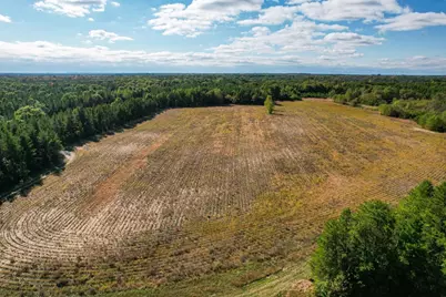Lot 1 W 19th Street, Necedah, WI 54646 - Photo 40