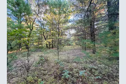 Lot 1 W 19th Street, Necedah, WI 54646 - Photo 86