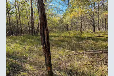 Lot 1 W 19th Street, Necedah, WI 54646 - Photo 68