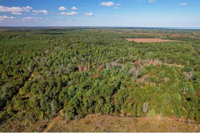 Lot 1 W 19th Street, Necedah, WI 54646 - Photo 12