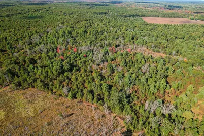 Lot 2 W 19th Street, Necedah, WI 54646 - Photo 8