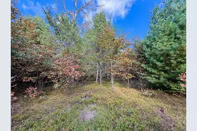Lot 2 W 19th Street, Necedah, WI 54646 - Photo 44
