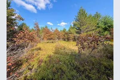 Lot 3 W 19th Street, Necedah, WI 54646 - Photo 14