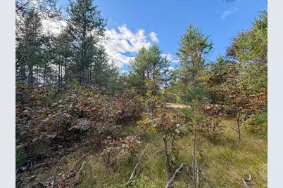Lot 3 W 19th Street, Necedah, WI 54646 - Photo 22