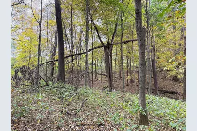 19120 Whiteaker Cemetery Lane, Gays Mills, WI 54631 - Photo 50