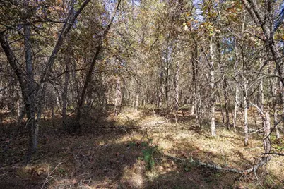 Lot 31 Morros Mile Road, Necedah, WI 54646 - Photo 28