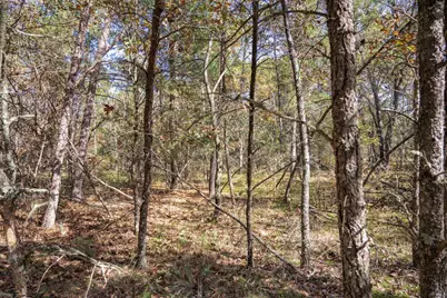 Lot 31 Morros Mile Road, Necedah, WI 54646 - Photo 24