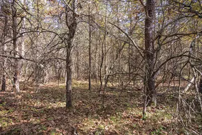 Lot 31 Morros Mile Road, Necedah, WI 54646 - Photo 2